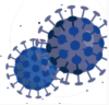 Coronavirus información actualizada Coronavirus información actualizada
